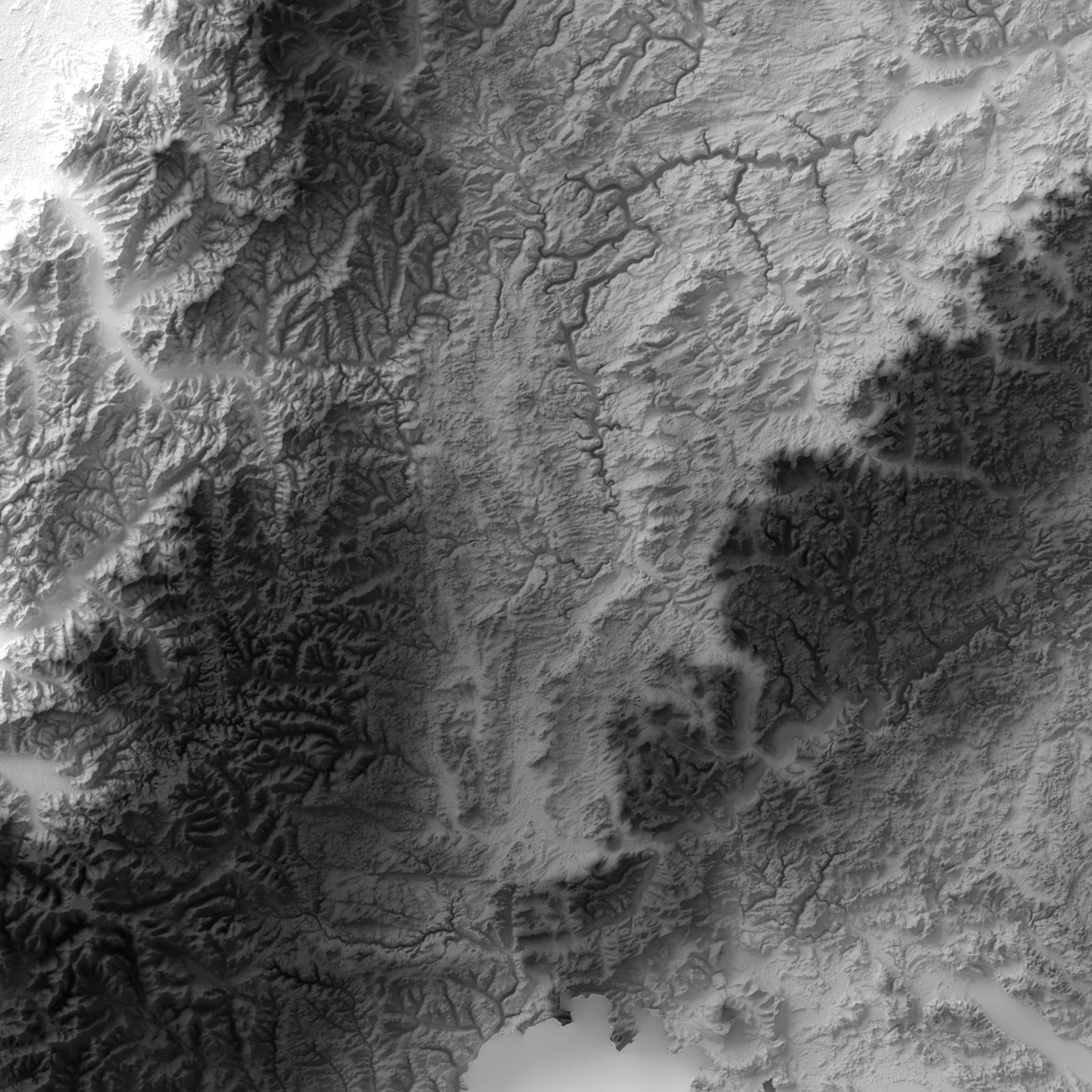 BW_Zoom_1-min
